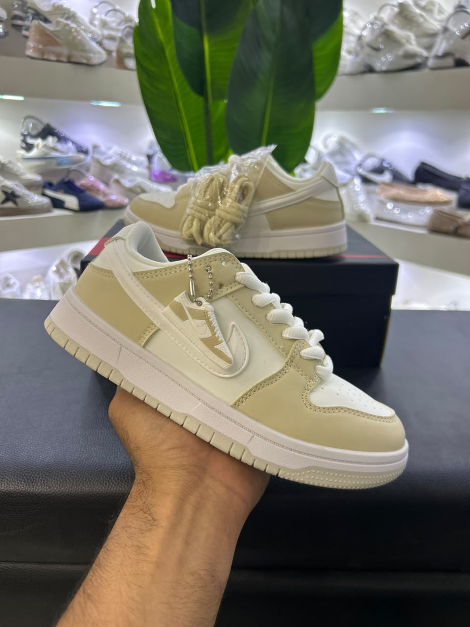 Nike SB Biege