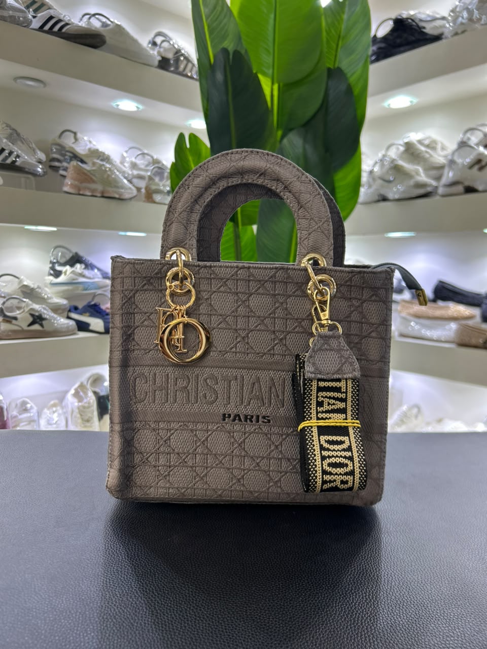 Christian Dior Paris Bag 2026