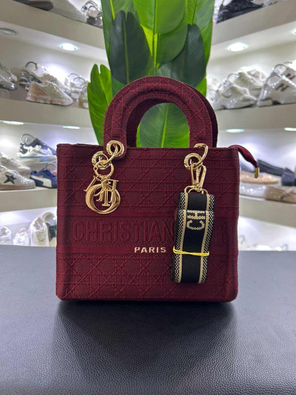 Christian Dior Paris Bag 2026