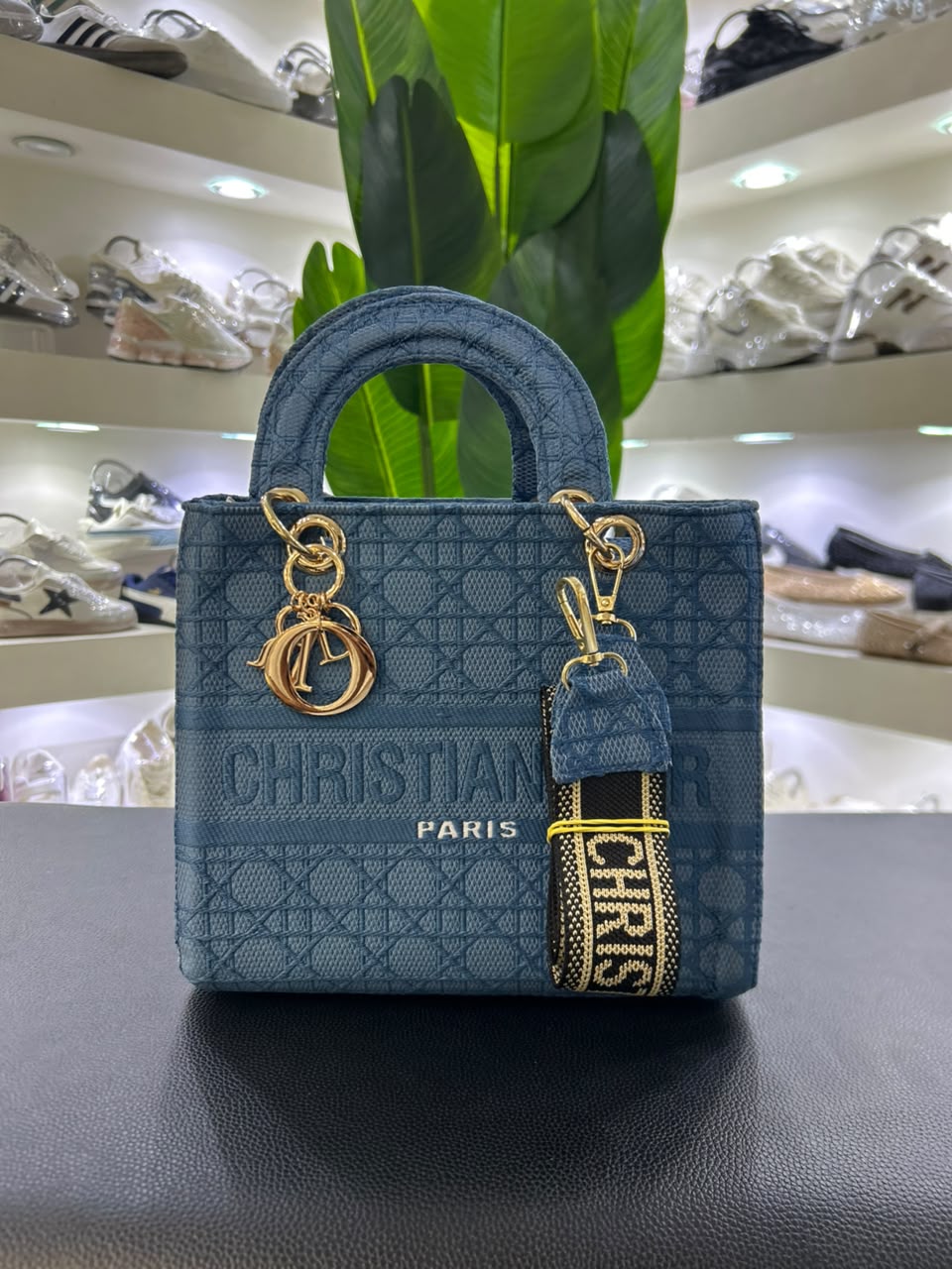 Christian Dior Paris Bag 2026